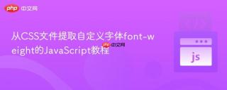 从CSS文件提取自定义字体font-weight的JavaScript教程