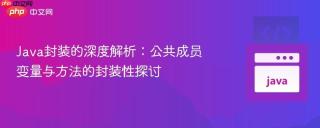 Java封装的深度解析：公共成员变量与方法的封装性探讨