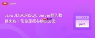 Java JDBC向SQL Server插入数据失败：常见原因与解决方案
