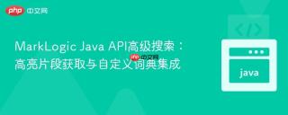 MarkLogic Java API高级搜索：高亮片段获取与自定义词典集成