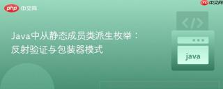 Java中从静态成员类派生枚举:反射验证与包装器模式
