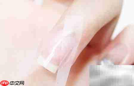 树形简笔画美甲教程