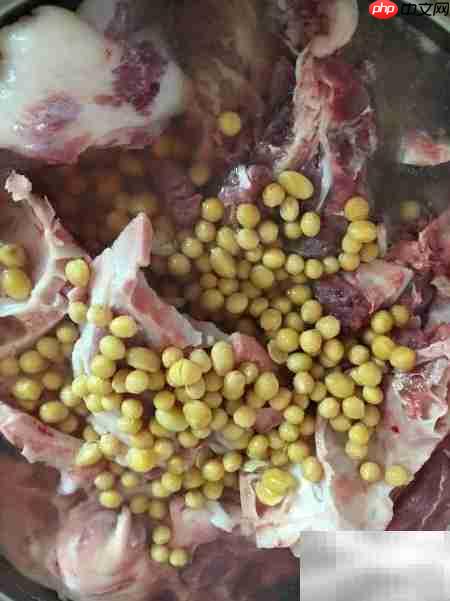 黄豆炖猪头：美味汤品做法