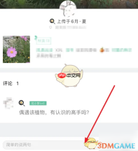 《形色》发布鉴定方法