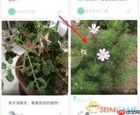 《形色》发布鉴定方法