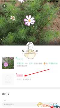 《形色》发布鉴定方法