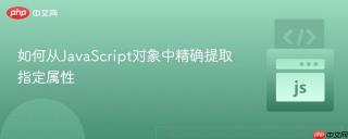如何从JavaScript对象中精确提取指定属性