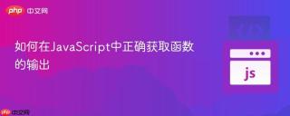 如何在JavaScript中正确获取函数的输出