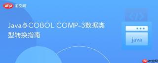 Java与COBOL COMP-3数据类型转换指南