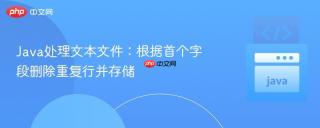 Java处理文本文件：根据首个字段删除重复行并存储