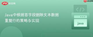 Java中根据首字段删除文本数据重复行的策略与实现