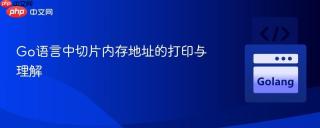 Go语言中切片内存地址的打印与理解