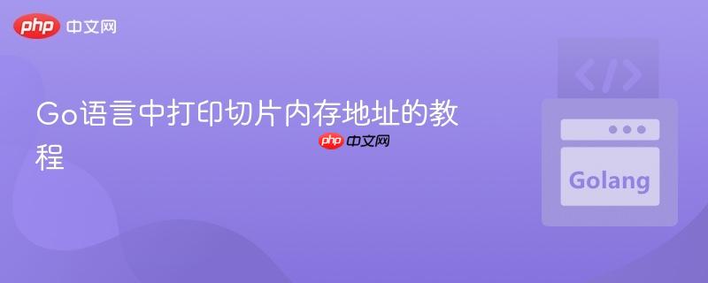 Go语言中打印切片内存地址的教程
