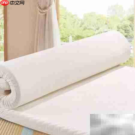 记忆床垫优缺点解析