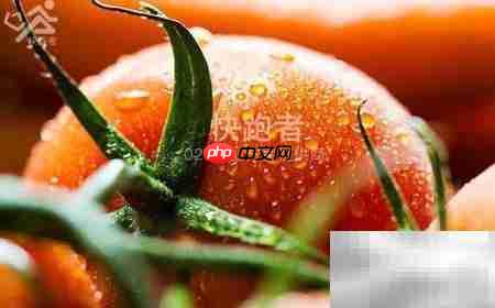 免费采购菜配送系统优势