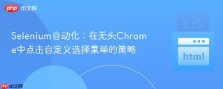 selenium自动化:在无头chrome中点击自定义选择菜单的策略