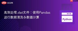 高效处理.dat文件:使用pandas进行数据清洗与数值计算