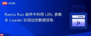Remix Run 组件中利用 URL 参数与 Loader 实现动态数据获取