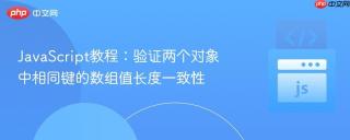 JavaScript教程：验证两个对象中相同键的数组值长度一致性