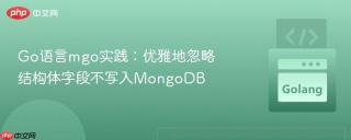 Go语言mgo实践：优雅地忽略结构体字段不写入MongoDB
