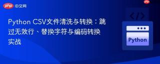 Python CSV文件清洗与转换:跳过无效行、替换字符与编码转换实战
