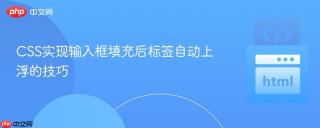 CSS实现输入框填充后标签自动上浮的技巧