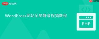 WordPress网站全局静音视频教程