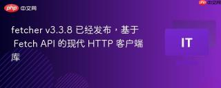 fetcher v3.3.8 已经发布,基于 fetch api 的现代 http 客户端库