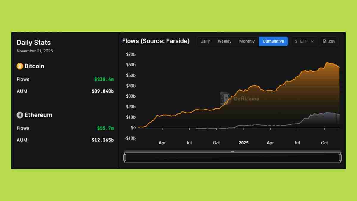 2025年山寨币季会到来吗？资金流向何处？与以往周期有何不同？