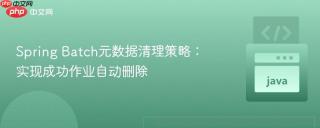 Spring Batch元数据清理策略：实现成功作业自动删除