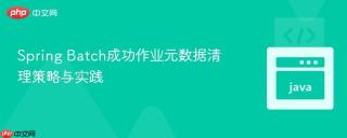 Spring Batch成功作业元数据清理策略与实践