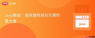 Java数组：高效查找成对元素的最大值