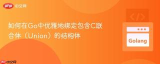 如何在Go中优雅地绑定包含C联合体（Union）的结构体