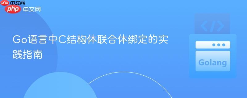 Go语言中C结构体联合体绑定的实践指南
