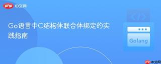 Go语言中C结构体联合体绑定的实践指南