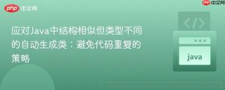 应对Java中结构相似但类型不同的自动生成类：避免代码重复的策略