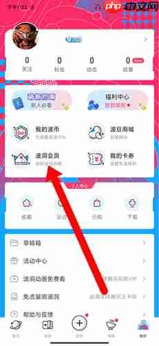《波洞》开通会员方法