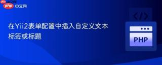 在Yii2表单配置中插入自定义文本标签或标题