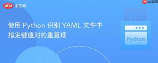 使用 Python 识别 YAML 文件中指定键值对的重复项