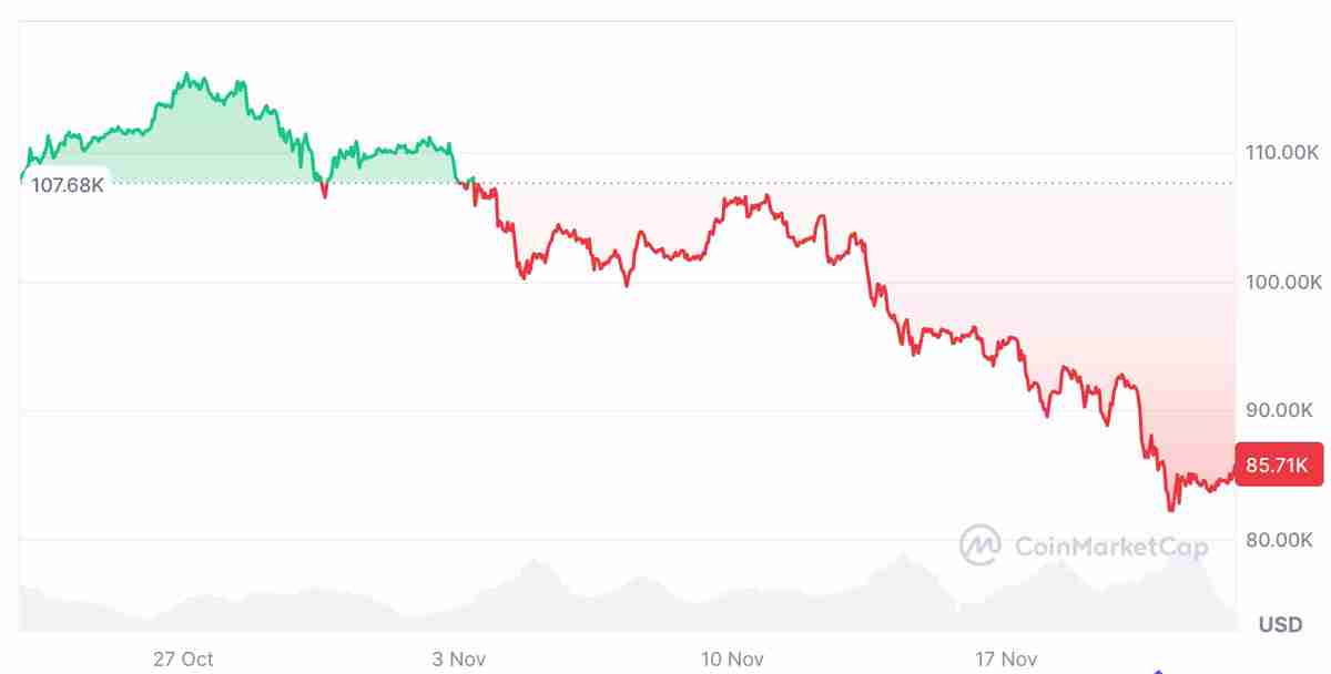 Lyn Alden：加密市场尚未达到”狂热水平“，比特币（BTC）不会出现重大崩盘