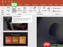 如何在Word文档中添加动画效果
