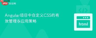 Angular项目中自定义CSS的有效管理与应用策略