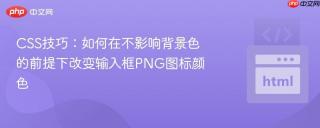 CSS技巧：如何在不影响背景色的前提下改变输入框PNG图标颜色