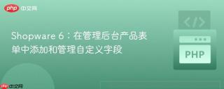 Shopware 6：在管理后台产品表单中添加和管理自定义字段