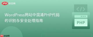 WordPress网站中混淆PHP代码的识别与安全处理指南