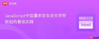JavaScript中变量非空与空白字符校验的最佳实践