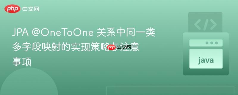 JPA @OneToOne 关系中同一类多字段映射的实现策略与注意事项
