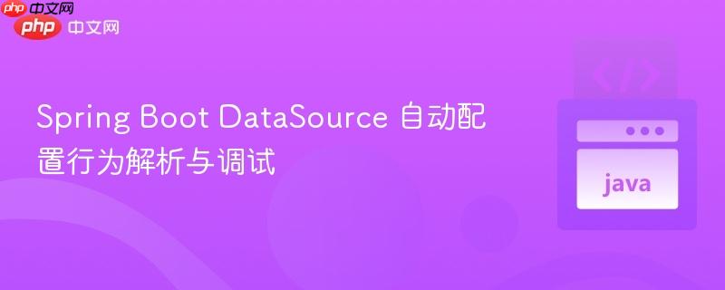 Spring Boot DataSource 自动配置行为解析与调试
