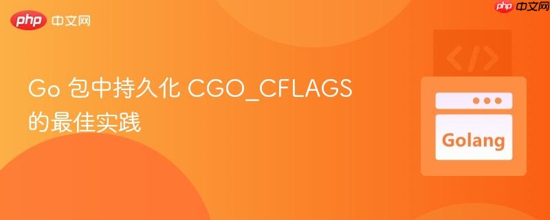 Go 包中持久化 CGO_CFLAGS 的最佳实践
