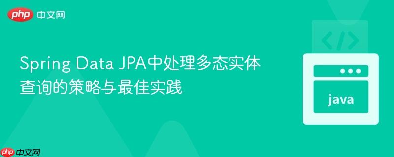 Spring Data JPA中处理多态实体查询的策略与最佳实践

